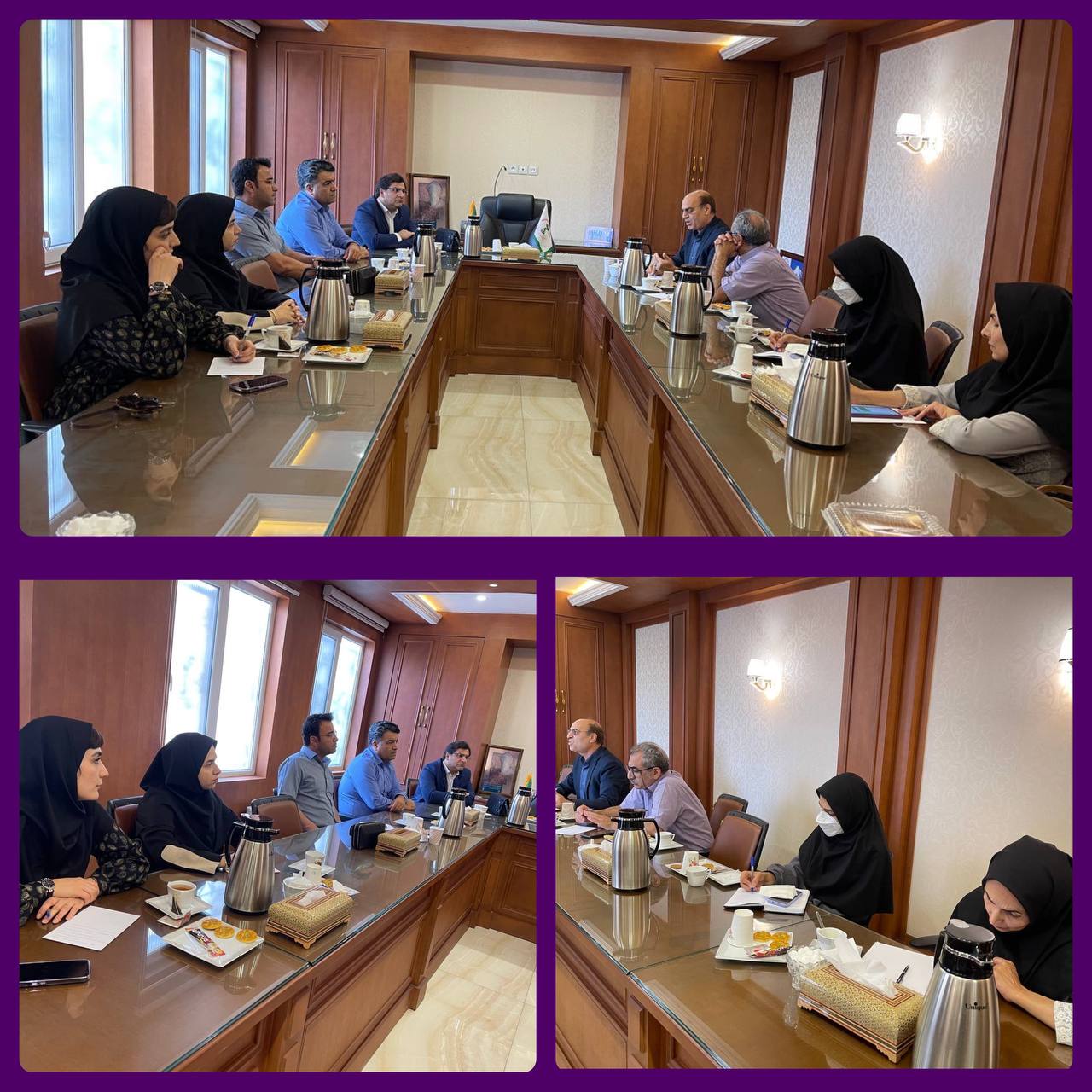 جلسه دیدار هیأت مدیره انجمن داروسازان با مدیر دارو و  مواد تحت کنترل